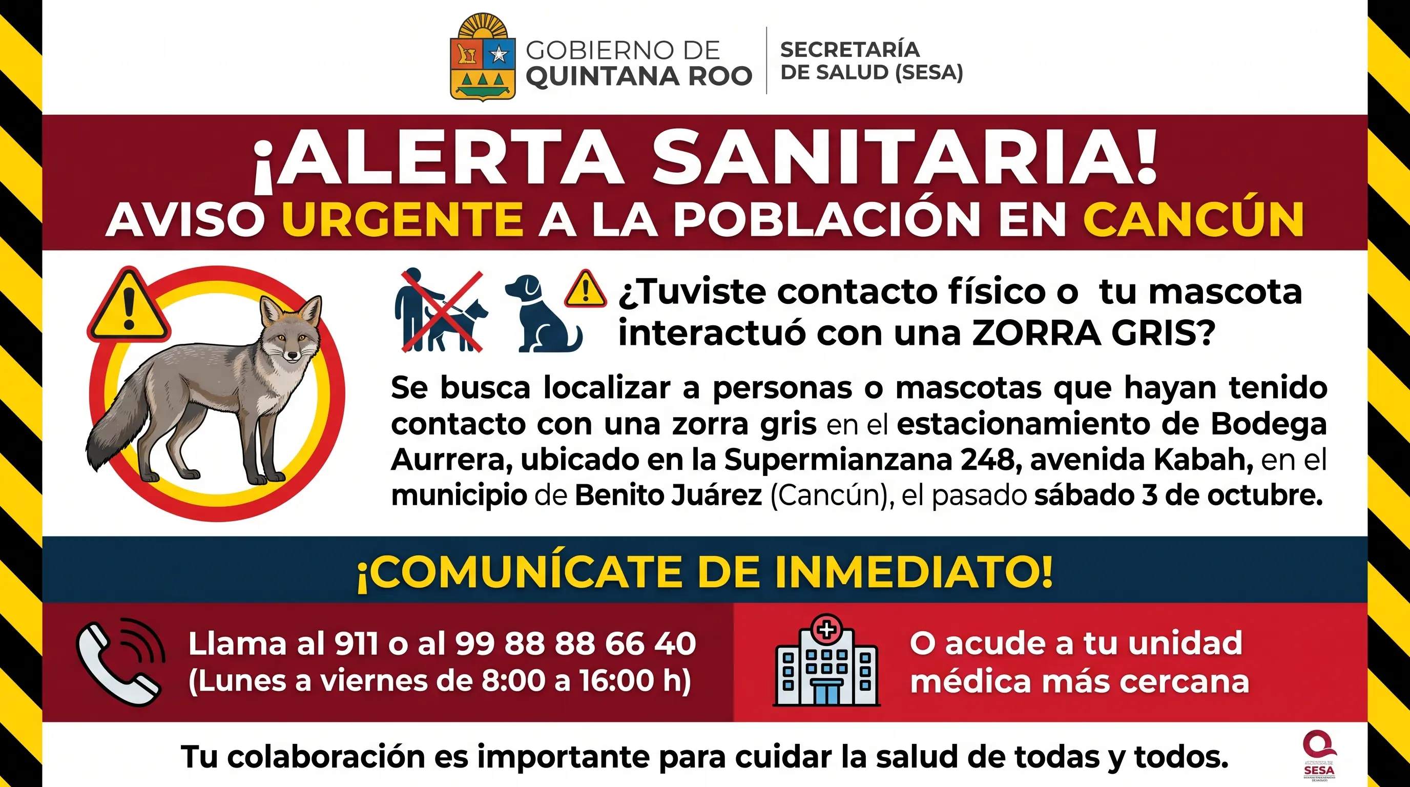 EMITEN AVISO PREVENTIVO POR CONTACTO CON FAUNA SILVESTRE EN CANCÚN: SECRETARÍA DE SALUD